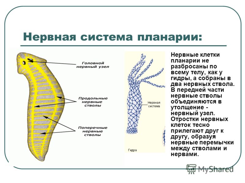 Кракен ссылка на сайт