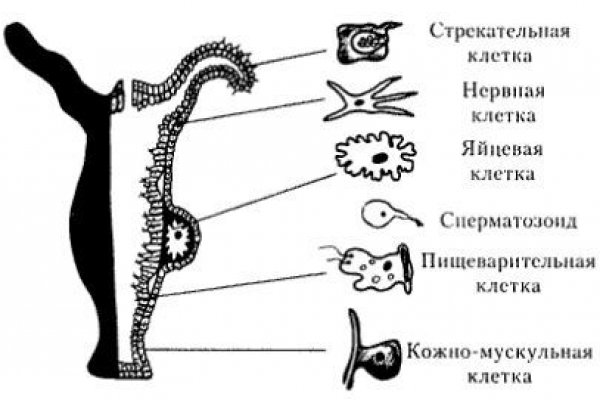 Кракен нарко шоп